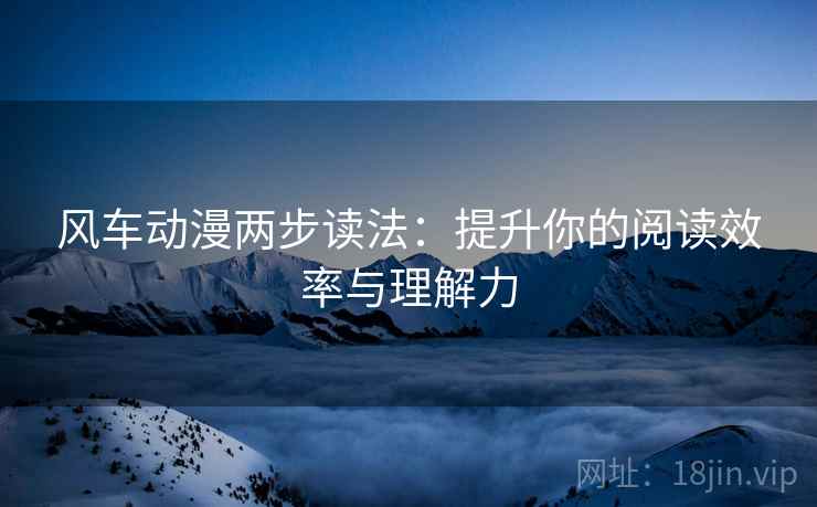 风车动漫两步读法：提升你的阅读效率与理解力